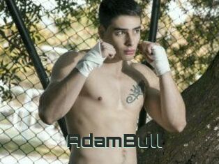 AdamBull