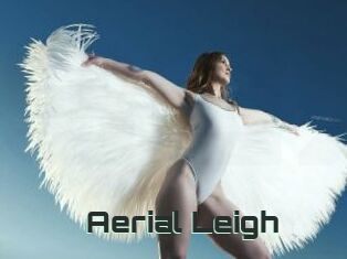 Aerial_Leigh