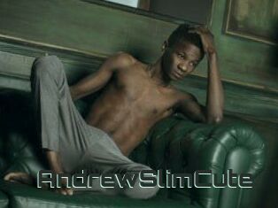 AndrewSlimCute