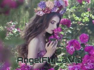 AngelFlyLaVid