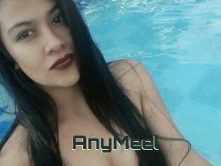 AnyMeel