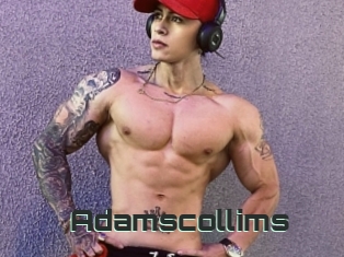 Adamscollims