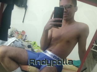 Andypolla