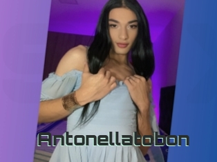 Antonellatobon