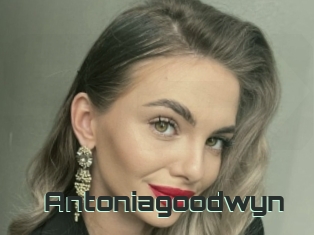 Antoniagoodwyn
