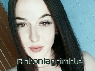 Antoniagrimble