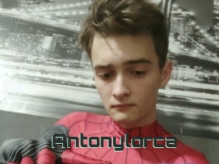 Antonylorca