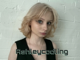 Ashleycodling