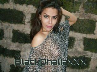 BlackDhaliaXXX