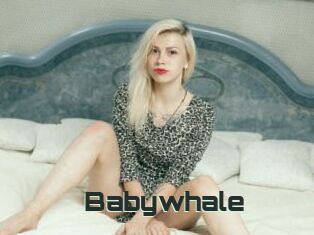 Babywhale