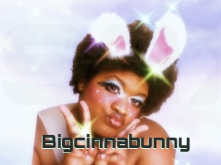 Bigcinnabunny