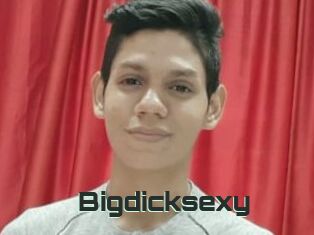 Bigdicksexy