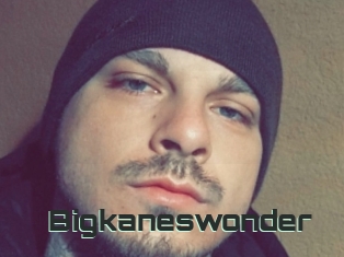 Bigkaneswonder