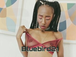 Bluebird21