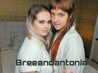 Breeandantonia