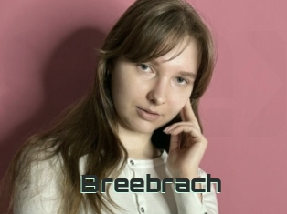 Breebrach