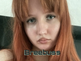 Breebuss