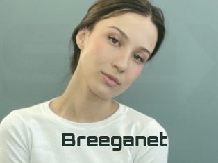 Breeganet