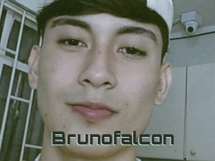 Brunofalcon