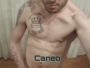 Caneo