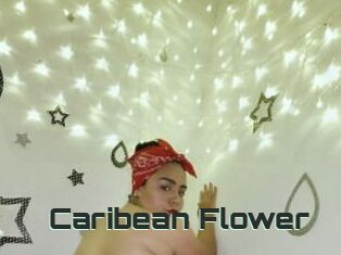 Caribean_Flower