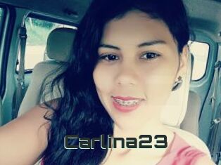 Carlina23