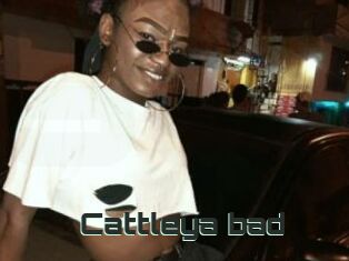 Cattleya_bad