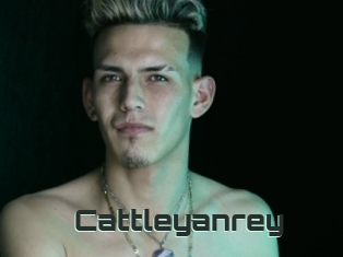 Cattleyanrey