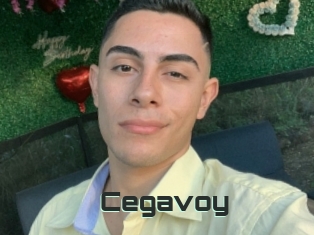 Cegavoy