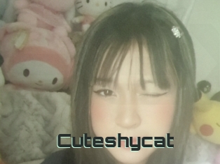 Cuteshycat