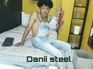 Danii_steel