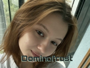 Dominofrost