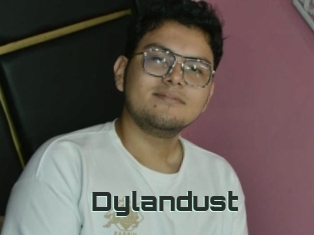 Dylandust