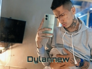 Dylannew