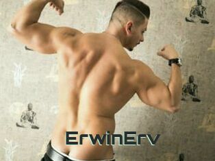 ErwinErv