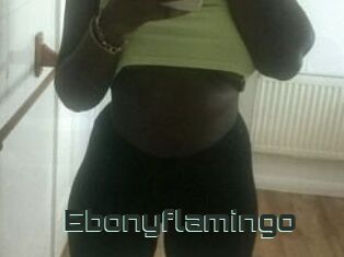 Ebony_flamingo