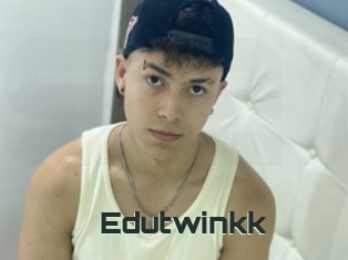 Edutwinkk