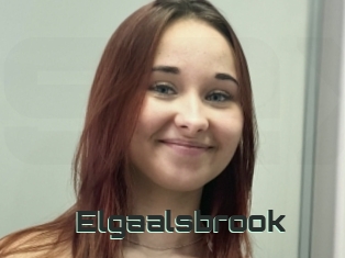 Elgaalsbrook