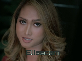 Elisecam