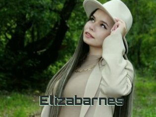 Elizabarnes