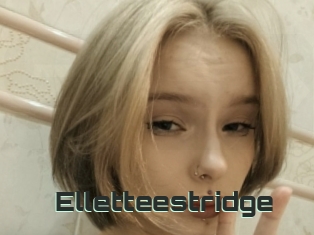 Elletteestridge