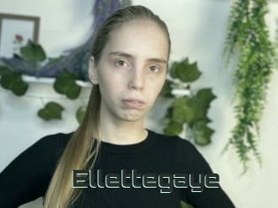 Ellettegaye