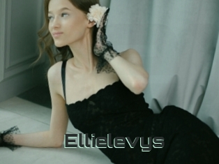 Ellielevys