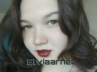 Elviaarnet