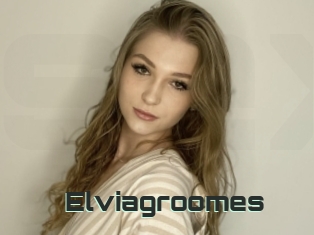 Elviagroomes