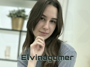 Elvinagomer