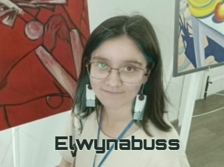 Elwynabuss