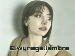 Elwynagallamore