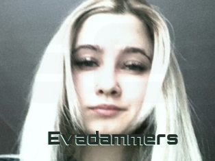 Evadammers