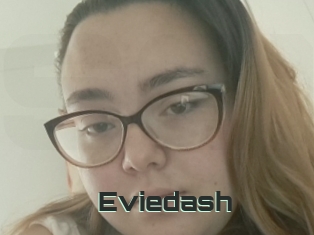 Eviedash